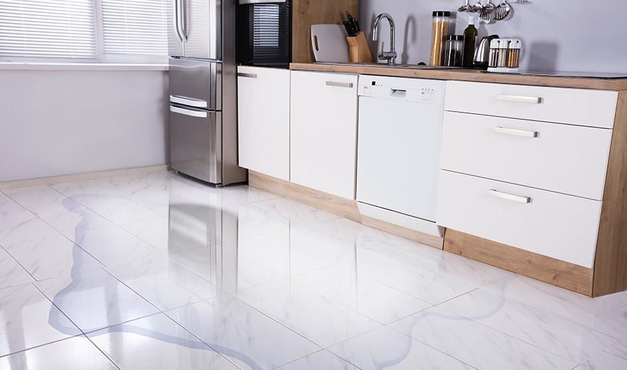 Why Is My Refrigerator Leaking Water? (And What You Can Do About It)